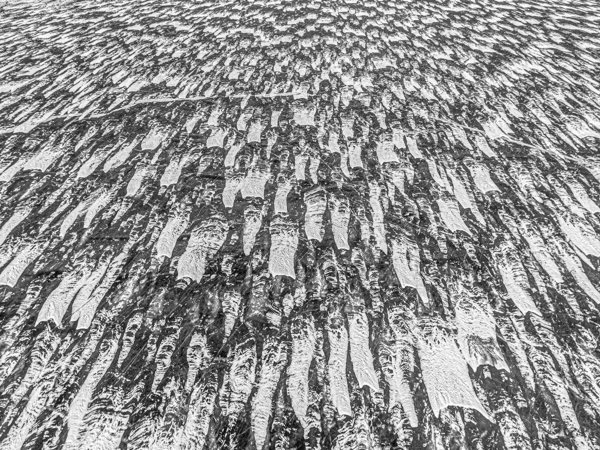 Neiges 8