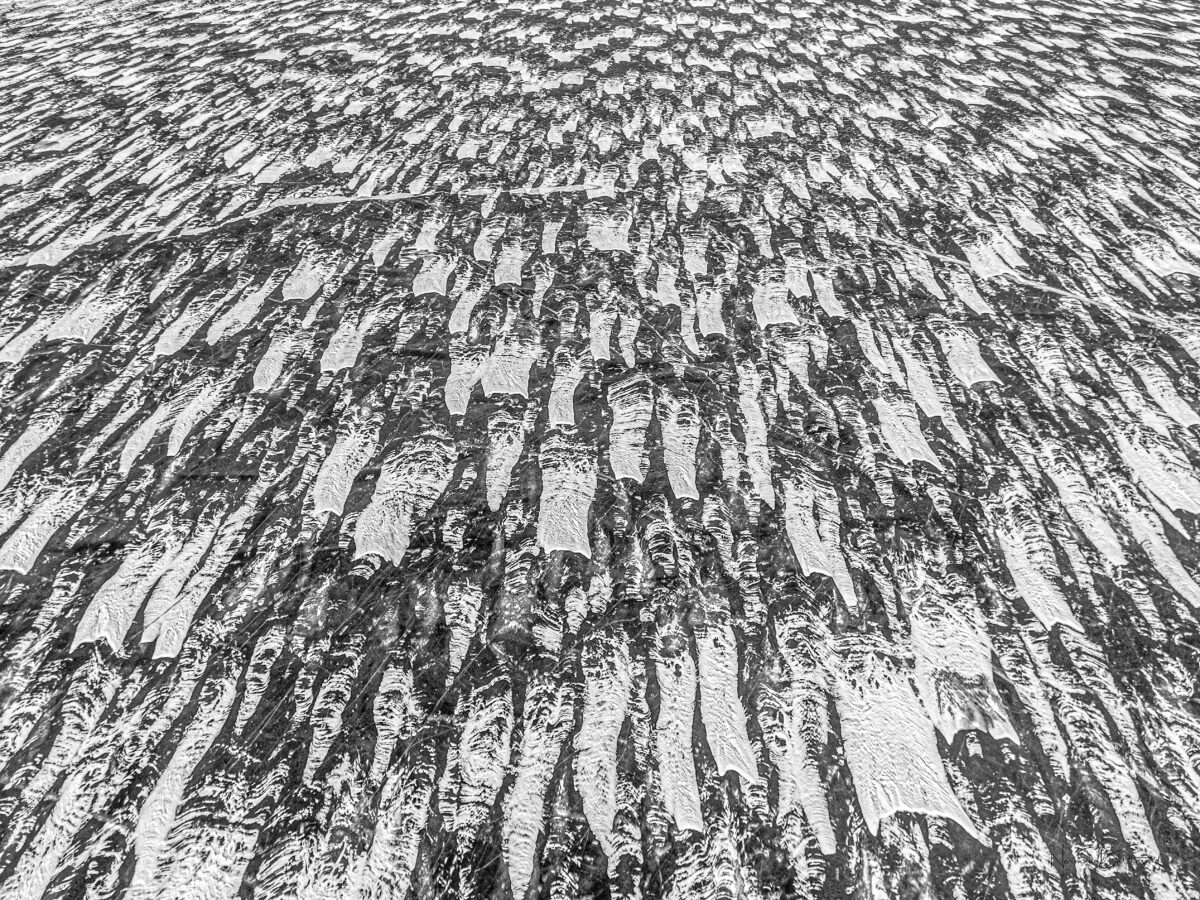 Ice 48