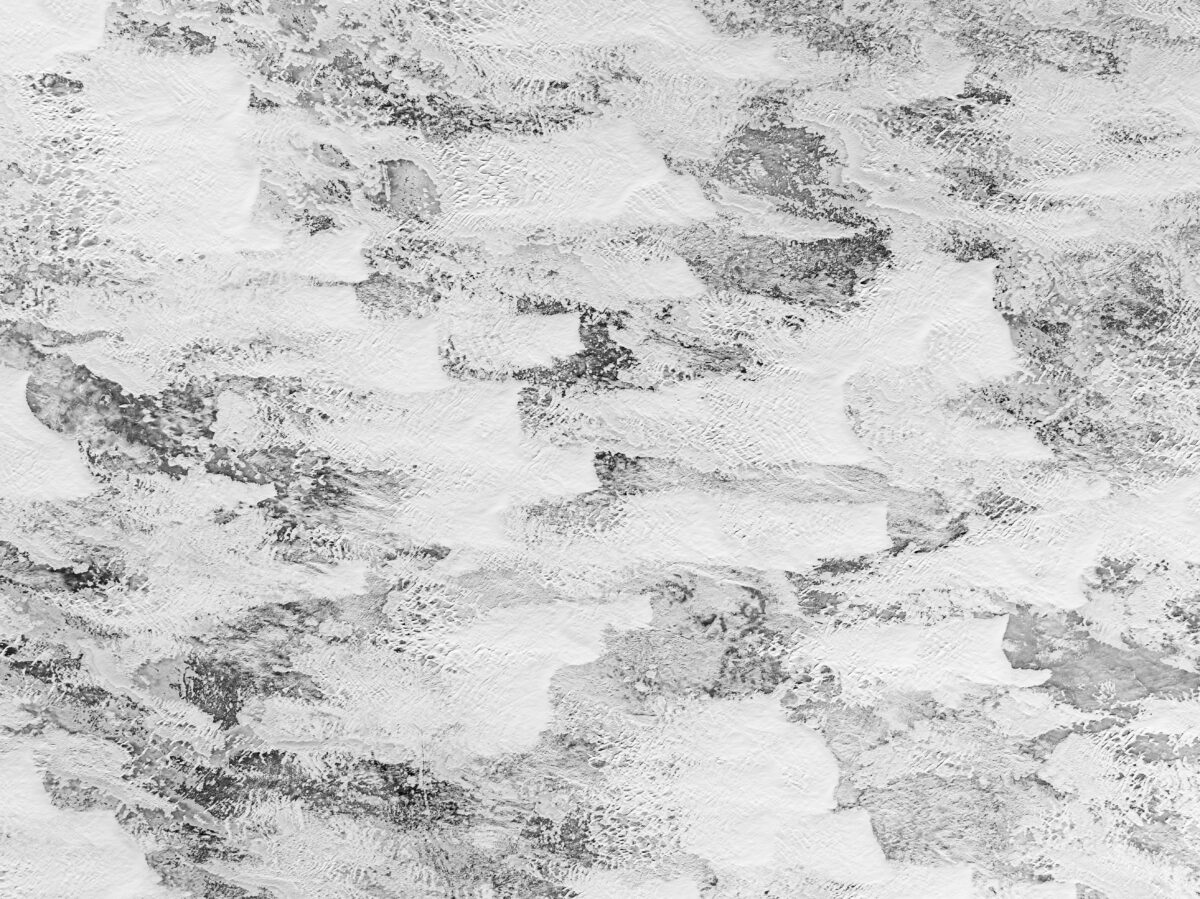 Ice 44