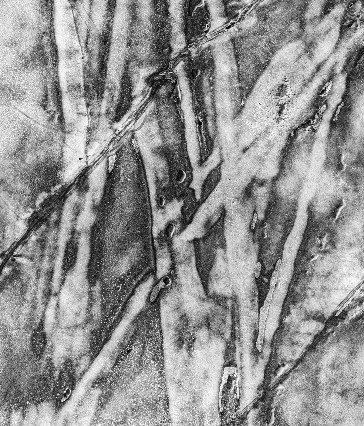 Ice 41