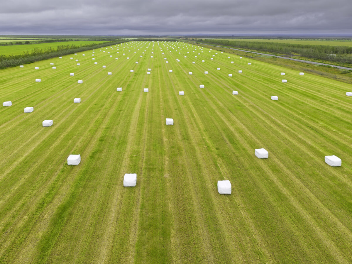 Hay bales 3