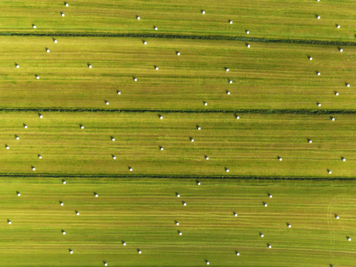 Hay bales 2
