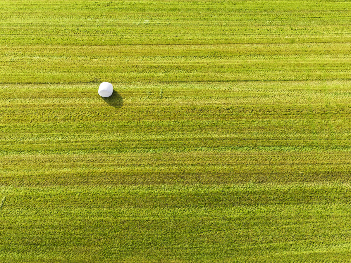 Lonely hay bale